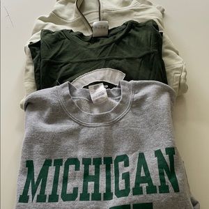 Michigan State Bundle
